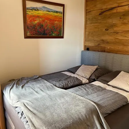 Alpen Salzburg Apartment *