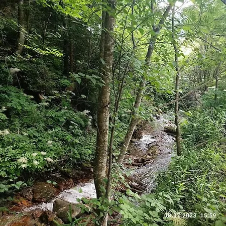 Alpen Salzburg Lessach